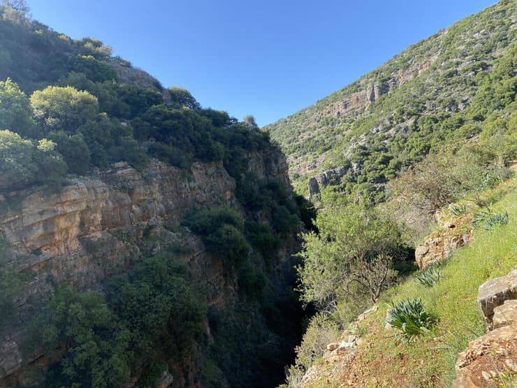 תהום עמוקה לצד השביל בחלקו התיכון של נחל עמוד