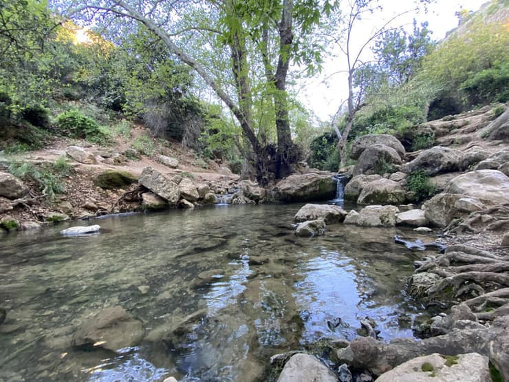 בריכות שכווי בנחל עמוד