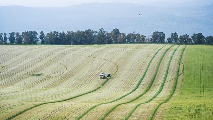  הגליל העליון
