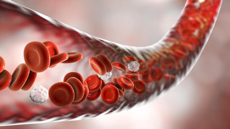 תאי דם אדומים