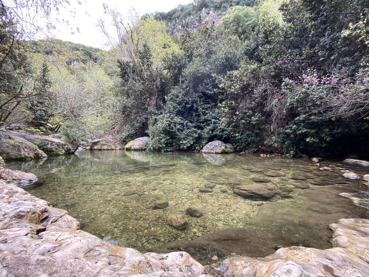 בריכת הדלבים בנחל כזיב