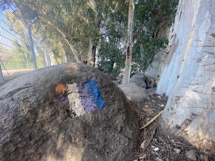 סימון "שביל סובב כינרת" המוביל אל חוף חוקוק