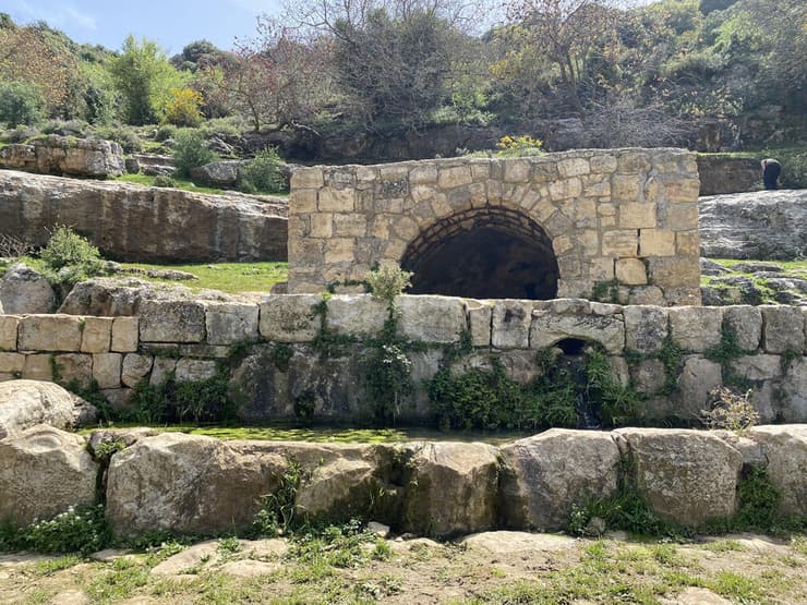 מעיין עין חותם בחלקו העליון של נחל כזיב בשמורת הר מירון