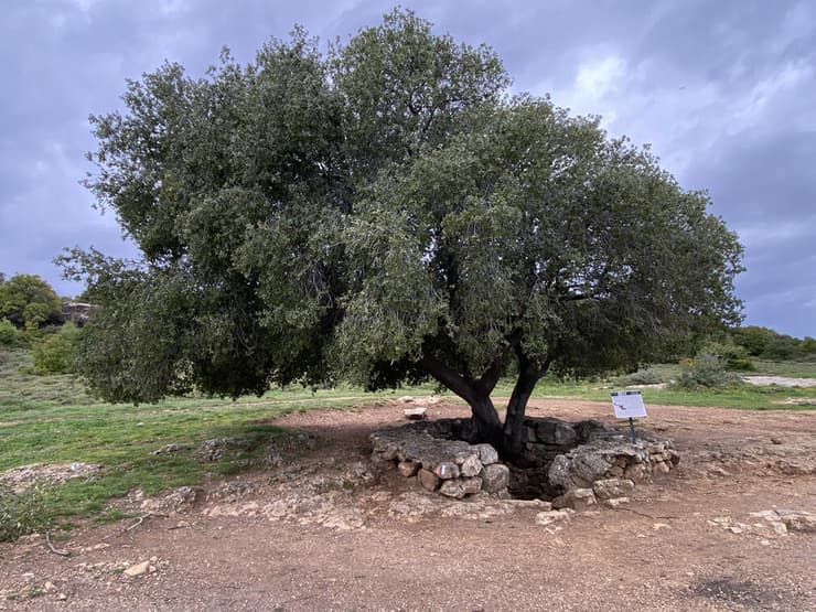 יותר מתאים להיקרא "עין זבל", וחבל שכך. מעיין עין זבד