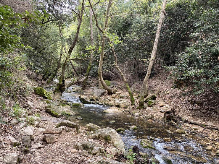 נחל כזיב בדרך לעין טמיר