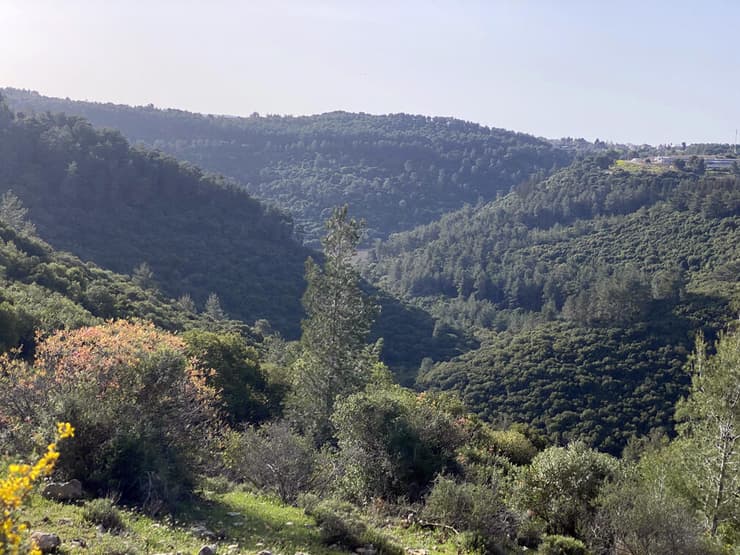 נוף השמורה הסגורה של נחל כזיב, שמהווה מסדרון אקולוגי ייחודי