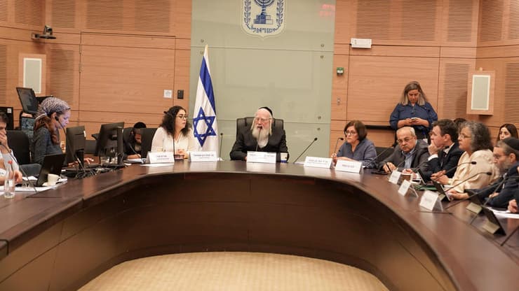 דיון בוועדת העבודה והרווחה (צילום: דוברות הכנסת, דני שם טוב) דיון בוועדת העבודה והרווחה