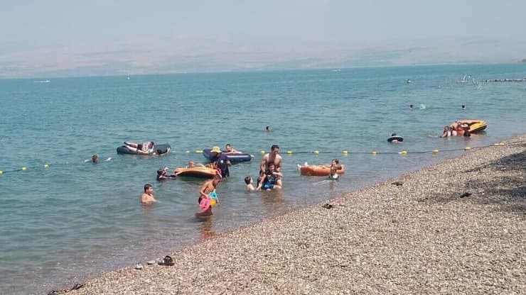 חוף חלוקים, כינרת