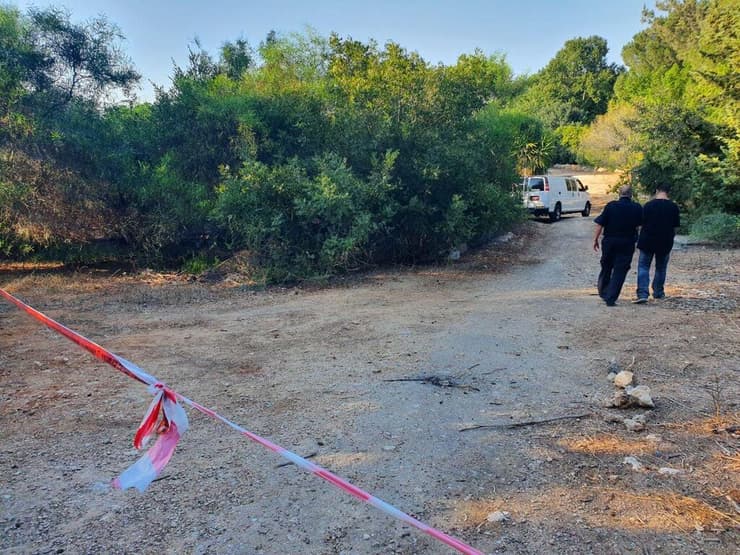 החורשה שבה התרחש הרצח (צילום: אלכס גמבורג) רצח במודיעין: המשטרה עצרה גבר בחשד שירה למוות בבנו מאומץ