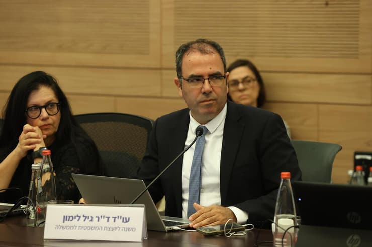 ועדת החוקה, חוק ומשפט - הכנה לקריאה שנייה ושלישית של ביטול עילת הסבירות