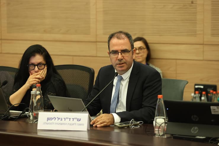 "שמירה על מנהל תקין". ד"ר גיל לימון (צילום: עמית שאבי) ועדת החוקה, חוק ומשפט - הכנה לקריאה שנייה ושלישית של ביטול עילת הסבירות