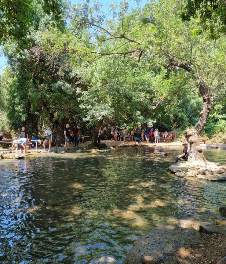 בריכת השכשוך בשמורת תל דן