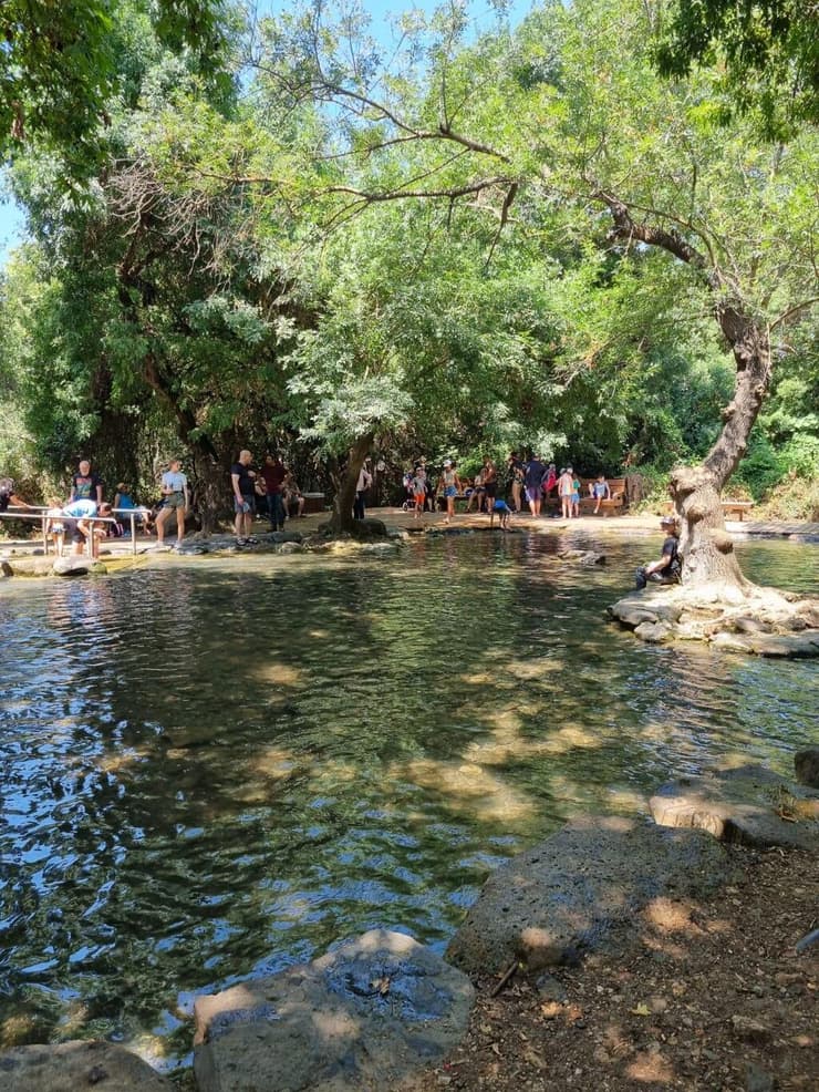 בריכת השכשוך בשמורת תל דן