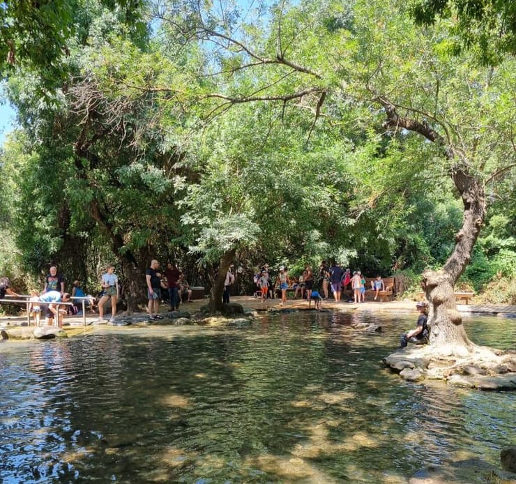 בריכת השכשוך בשמורת תל דן