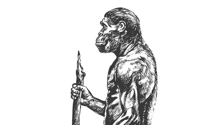 הומו ארקטוס (איור: Shtterstock) הומו ארקטוס