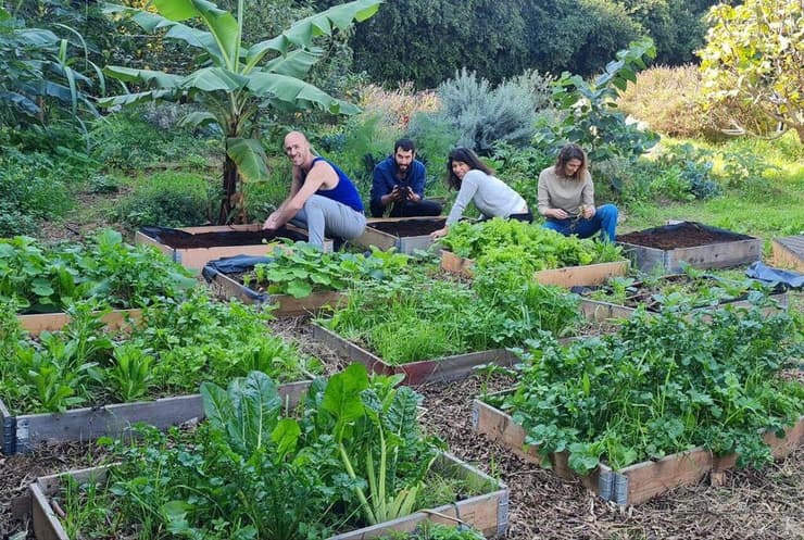 הגינה בהגר״א, מרכז קהילתי, נווה שאנן, תל אביב. 
