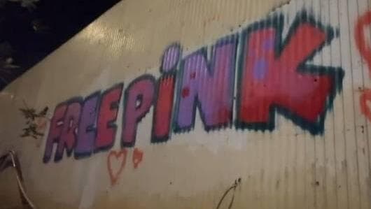 גרפיטי למען ענבר הימן (צילום: מתוך עמוד האינסטגרם של pushtak_1) מרססים גרפיטי עם כינויה של ענבר הימן, Pink