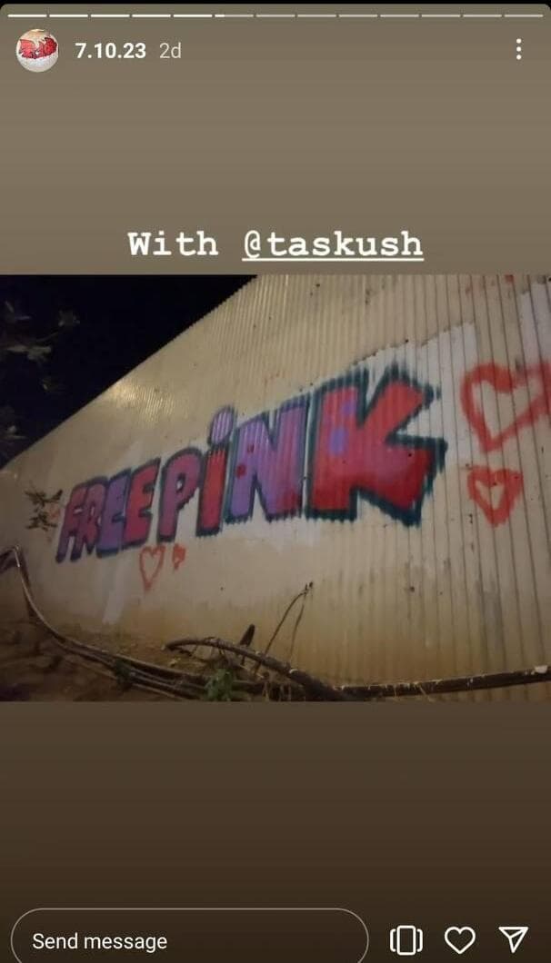 מרססים גרפיטי עם כינויה של ענבר הימן, Pink