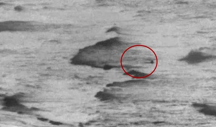 תיעוד מחיסול שני המחבלים שניסו לחדור לשטח ישראל במרחב זיקים