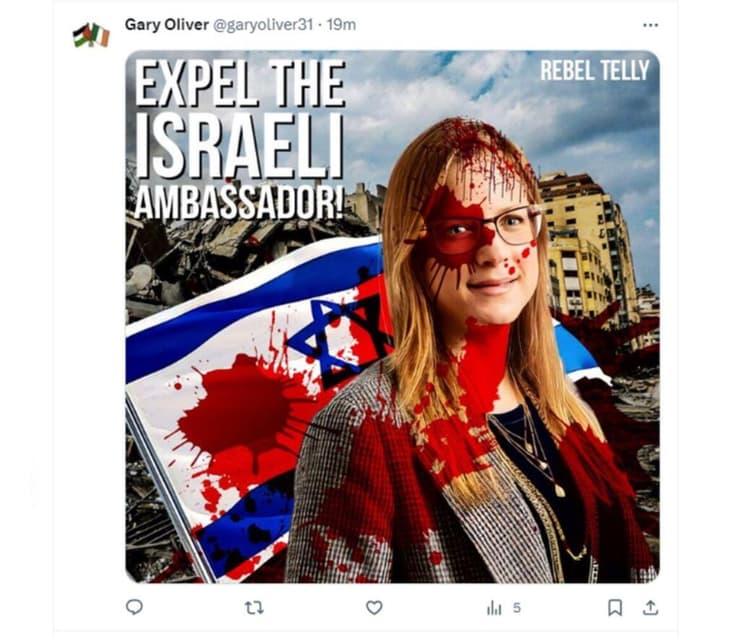 דנה ארליך שגרירת ישראל ב ארילנד