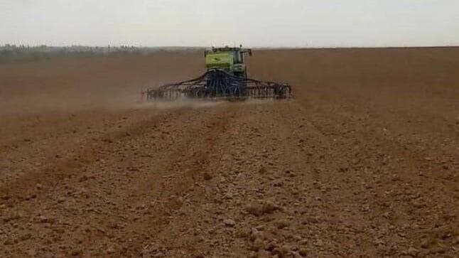 זריעת חיטה בשדות קיבוץ בארי שישה שבועות אחרי פרוץ המלחמה