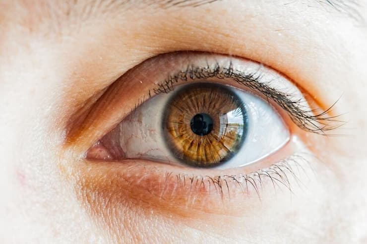 הגורם השכיח ביותר לאובדן ראייה בגיל מבוגר: ניוון מוקולרי גילי
(צילום: shutterstock) עיניים