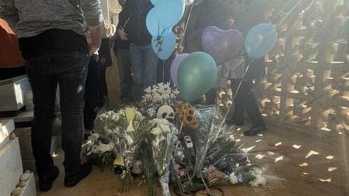 צילום: מאיר תורג'מן