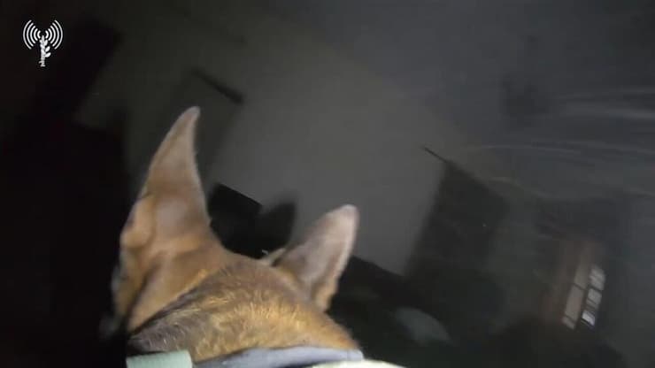 תיעוד מפעילות יחידת עוקץ ברצועת עזה