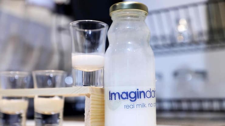 החלב של אימג'נדרי 