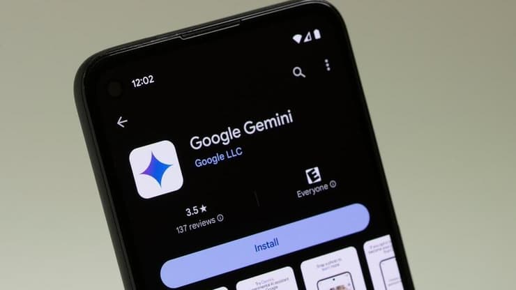 ג'מיני (צילום: Tada Images / Shutterstock) ג'מיני