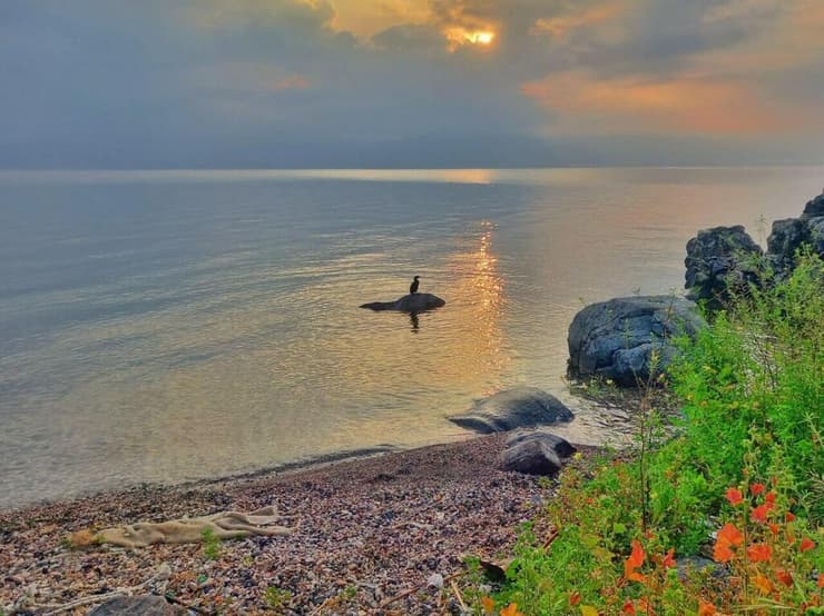 זריחה בכינרת (צילום: תמי נחמיה לאיגוד ערים כינרת) זריחה בכינרת