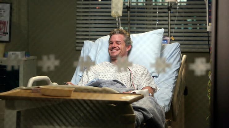 האנטומיה של גריי