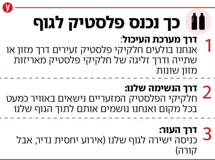 אינפו פלסטיק מיקרו פלסטיק