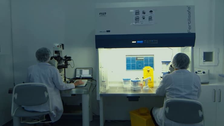 פרשת יבוא ביציות עם המופיליה מרפאת הפוריות Birth בבטומי, גאורגיה