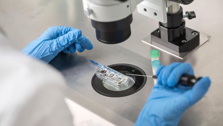 בדיקות DNA העלו כי העובר שהושתל אינו של בני הזוג (צילום: Shutterstock) הפריה חוץ-גופית IVF