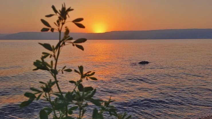 זריחה בכינרת (צילום: תמי נחמיה, לאיגוד ערים כינרת) זריחה בכינרת