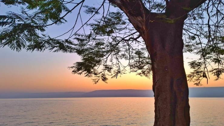 בוקר בכינרת
