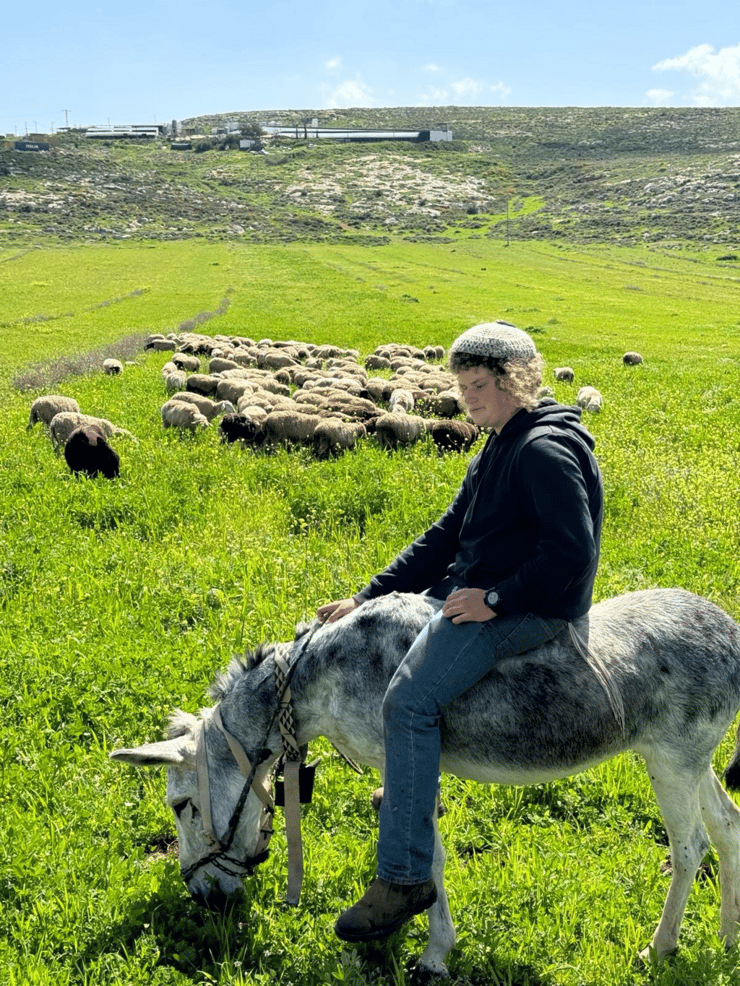 בנימין אחימאיר
