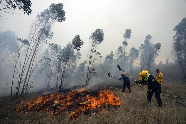אל ניניו צפויה לחזור השנה. שריפה ביערות קולומביה (צילום: Fernando Vergara, AP) שריפה ביערות קולומביה