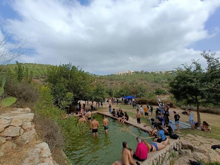 עין לבן, הרי ירושלים (צילום: פזית שביד-שייט, החברה להגנת הטבע) עין לבן, הרי ירושלים