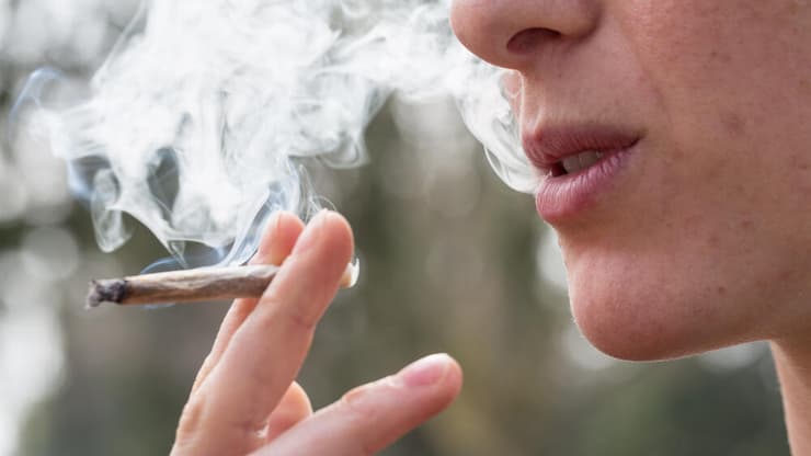 מריחואנה קנאביס עישון
