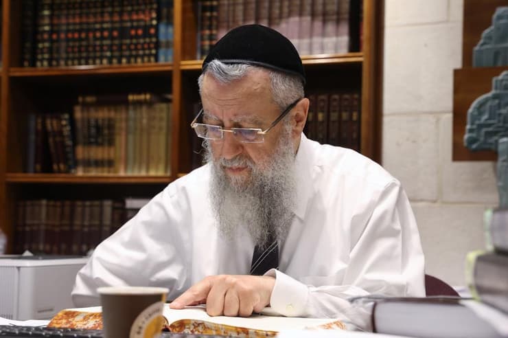 הרב דוד יוסף