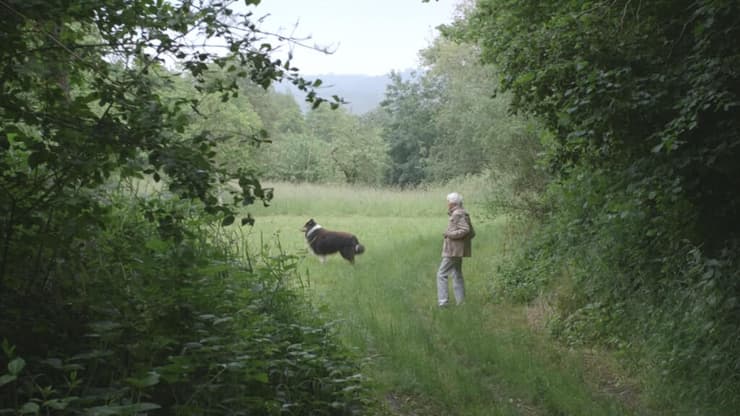 מתוך "האחו הקטן"