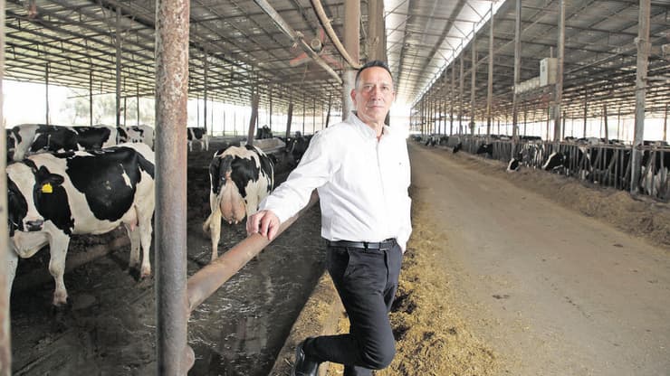 איציק שניידר, מנכ''ל מועצת החלב