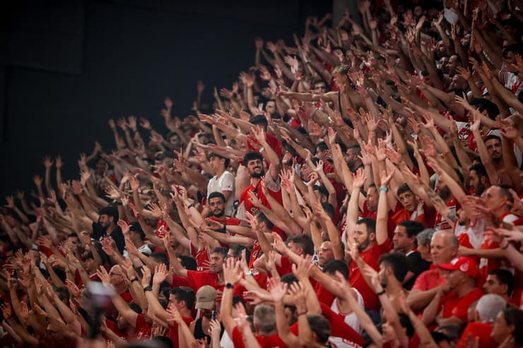 אוהדי הפועל ת"א