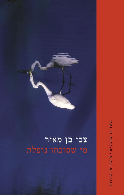 עטיפת הספר "מי שסוכתו נופלת", מאת צבי בן מאיר (הוצאת הקיבוץ המאוחד, עיצוב עטיפה: דוד בן הרא"ש) עטיפת הספר "מי שסוכתו נופלת", מאת צבי בן מאיר