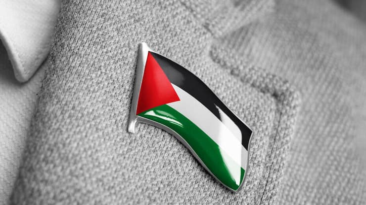 סיכה של דגל פלסטין