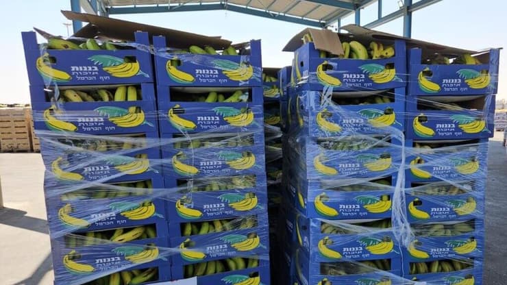 הסחורה הישראלית שעוברת במעבר כרם שלום בעזה