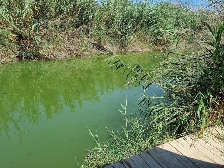 פינת החמד הסודית