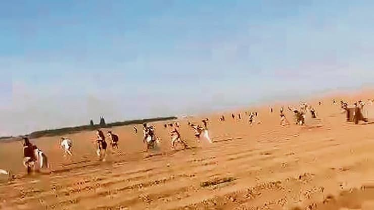 הבריחה ממסיבת הנובה